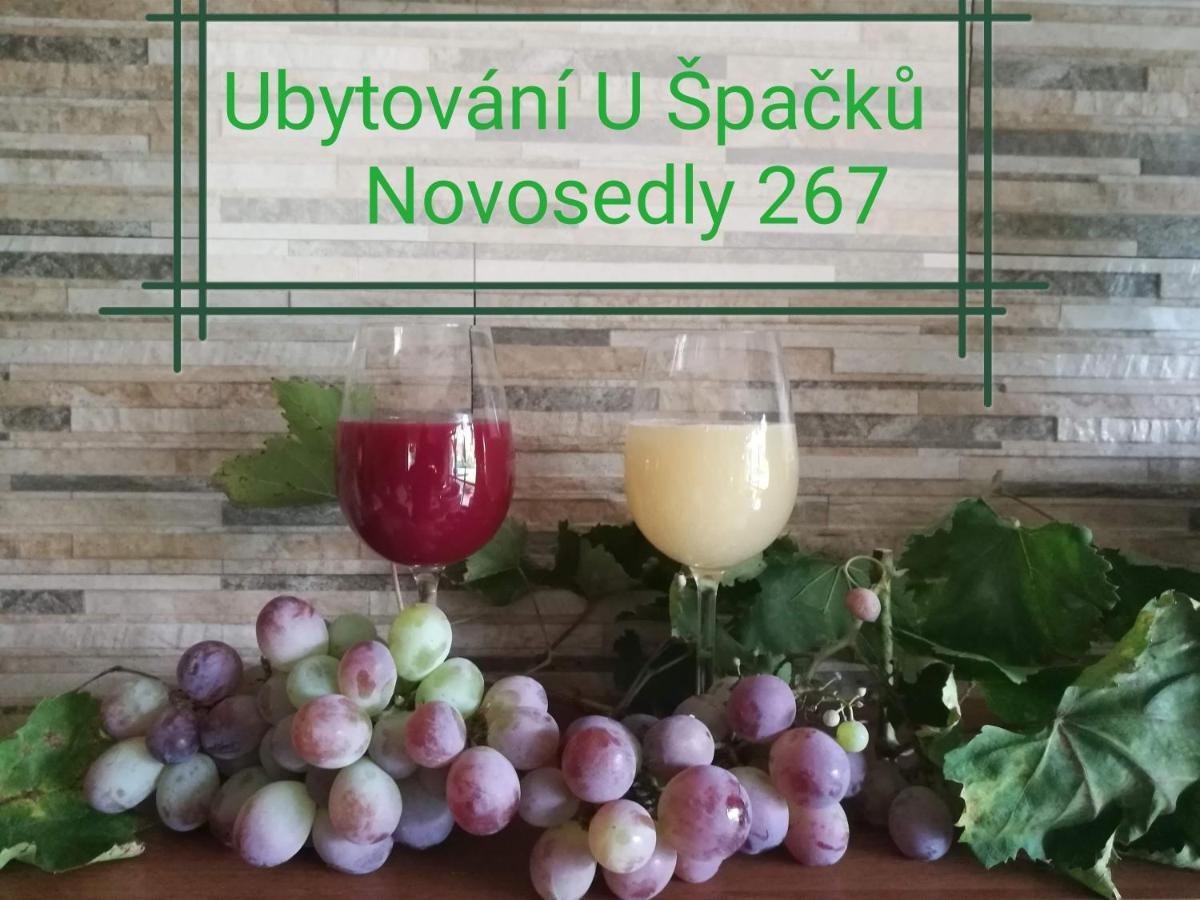 Ubytovani U Spacku Palava Novosedly  Exteriör bild