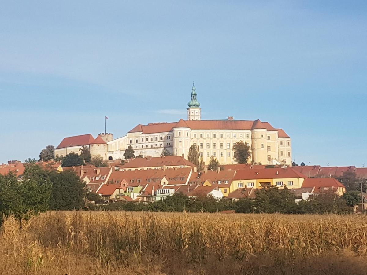 Ubytovani U Spacku Palava Novosedly  Exteriör bild