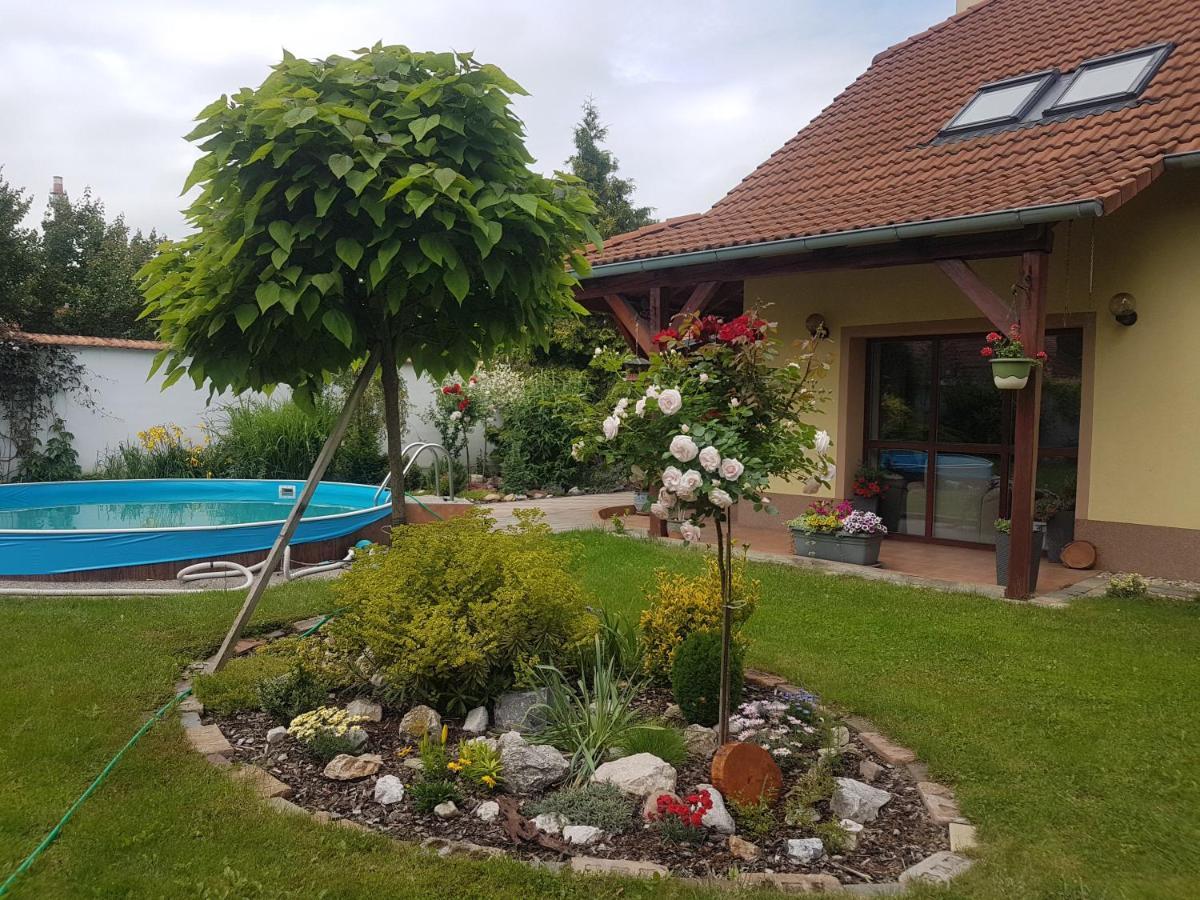 Ubytovani U Spacku Palava Novosedly  Exteriör bild