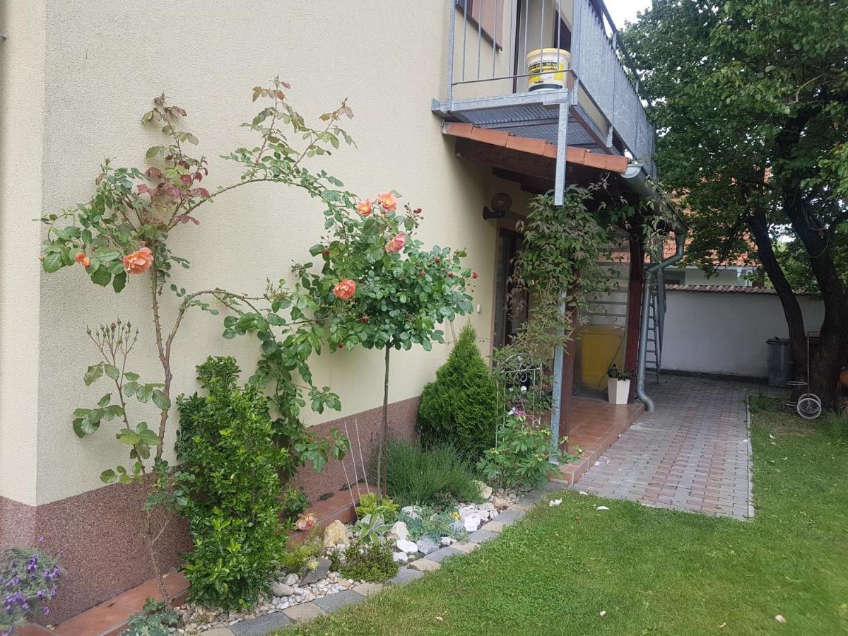 Ubytovani U Spacku Palava Novosedly  Exteriör bild