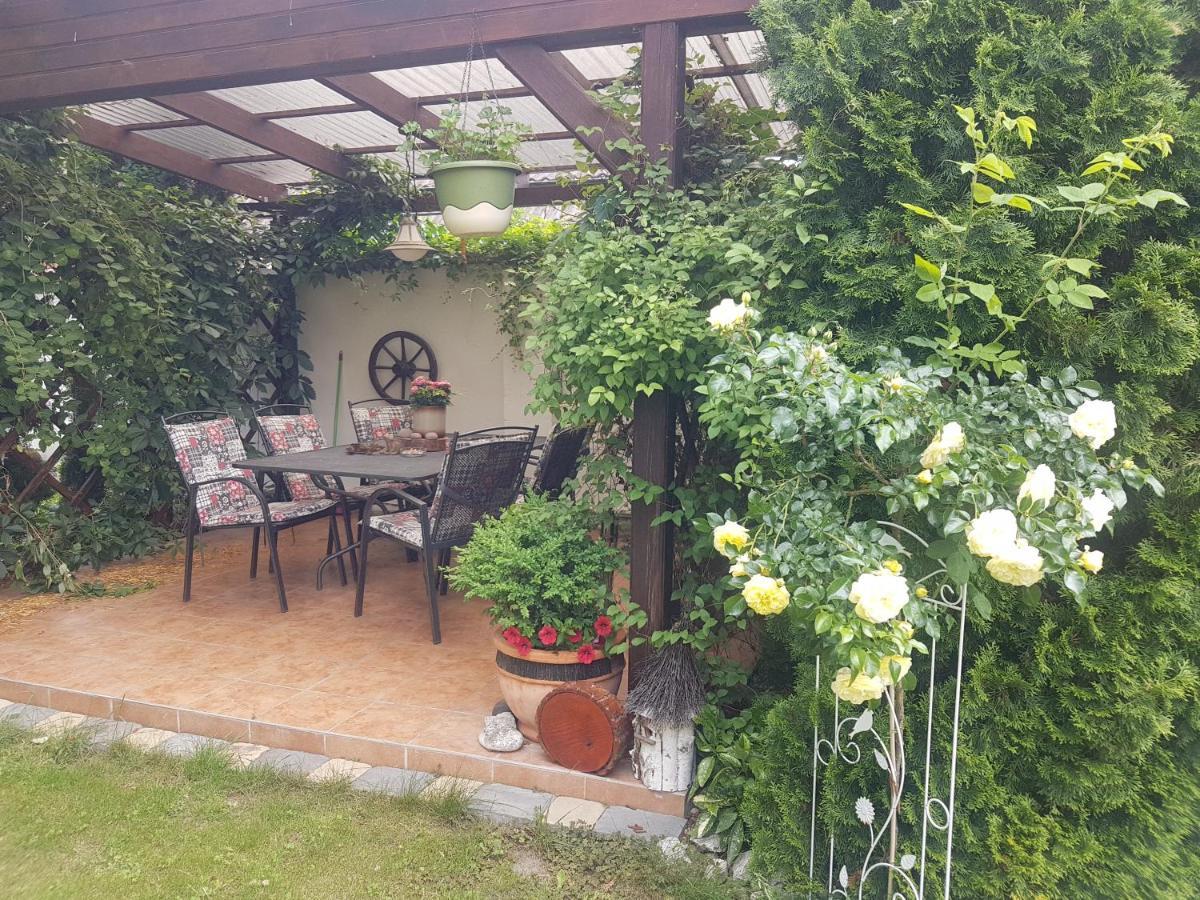 Ubytovani U Spacku Palava Novosedly  Exteriör bild