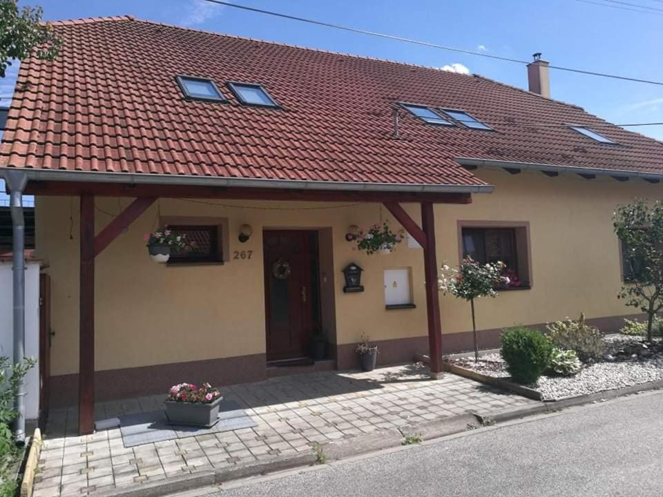 Ubytovani U Spacku Palava Novosedly  Exteriör bild
