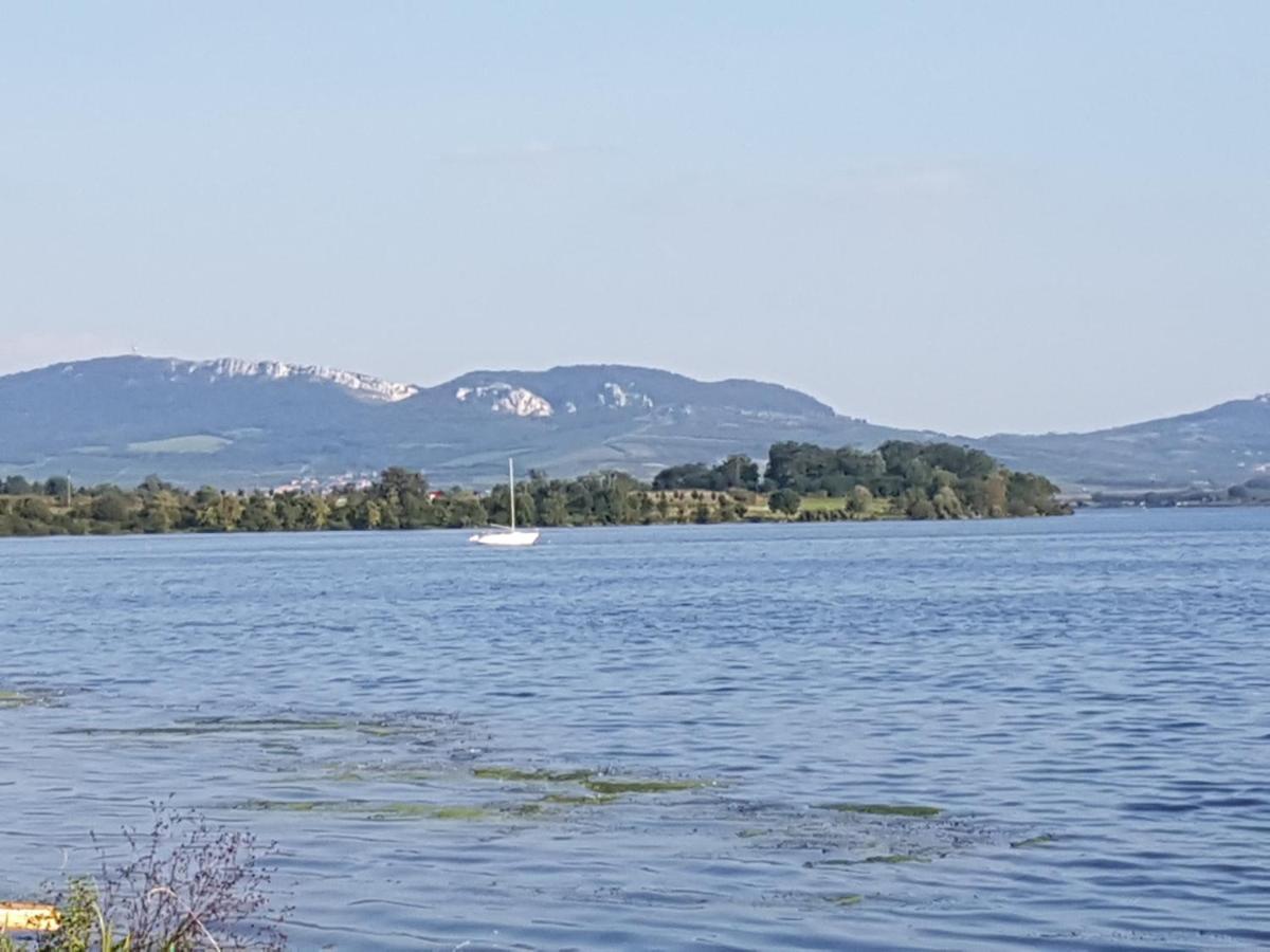 Ubytovani U Spacku Palava Novosedly  Exteriör bild