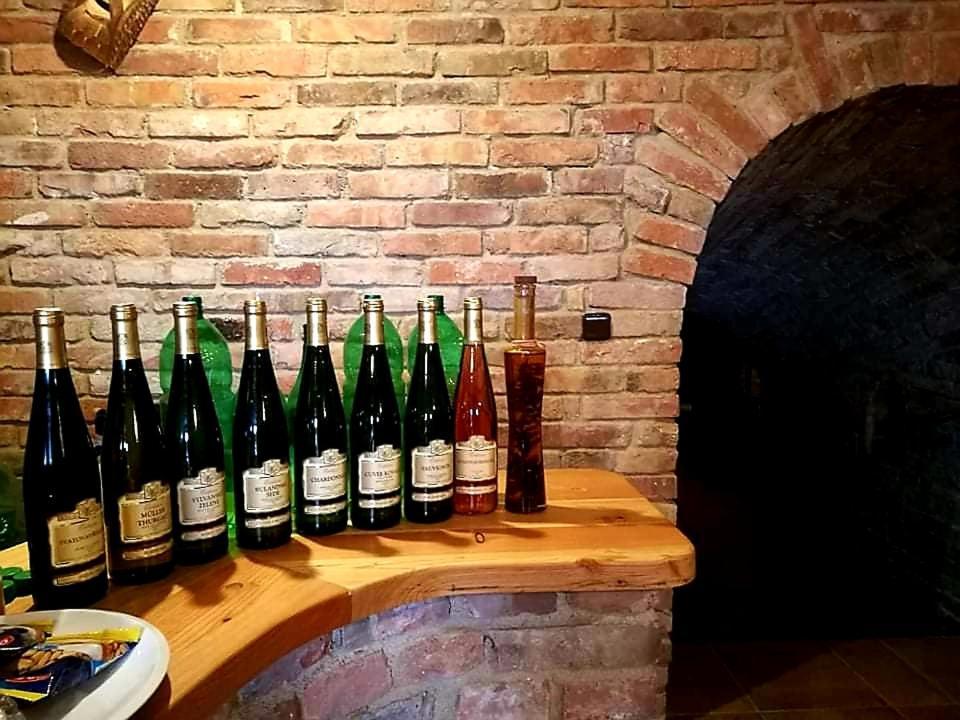 Ubytovani U Spacku Palava Novosedly  Exteriör bild