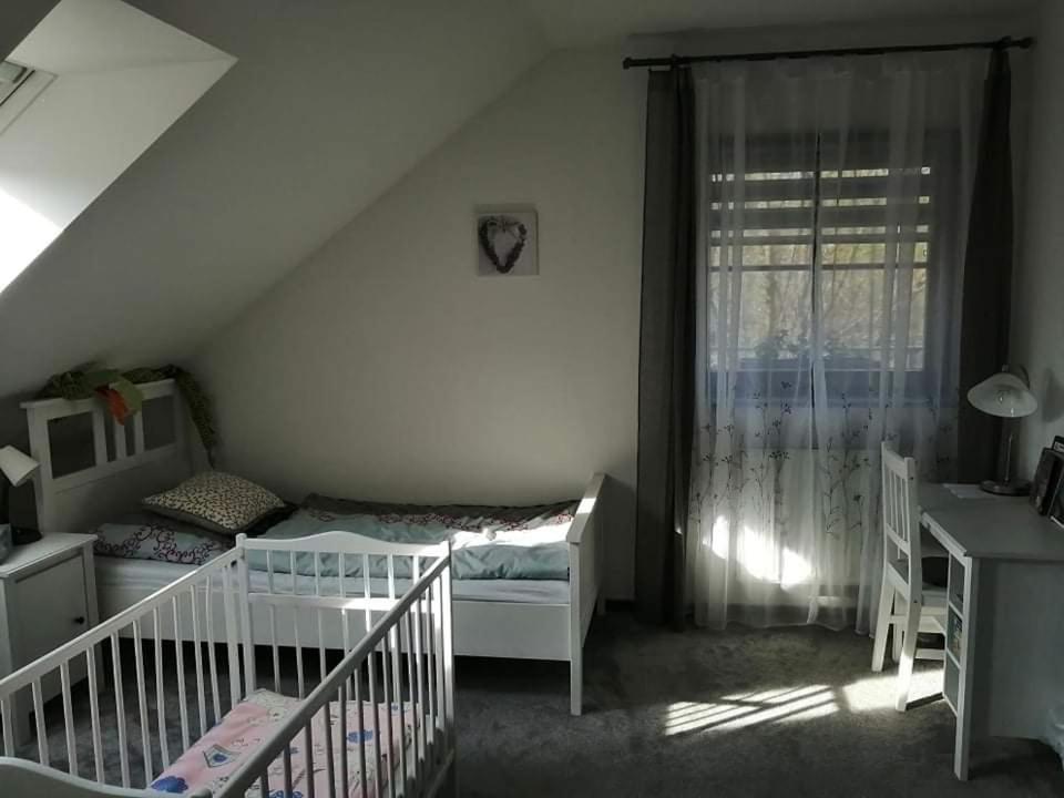 Ubytovani U Spacku Palava Novosedly  Exteriör bild